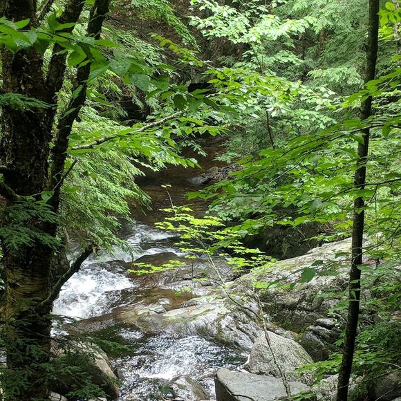 Meet your Posher, Helena - Picture 1 of 1